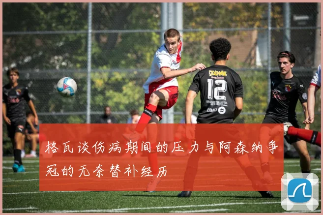 格瓦谈伤病期间的压力与阿森纳争冠的无奈替补经历
