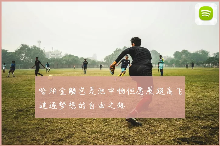 哈珀金鳞岂是池中物但愿展翅高飞追逐梦想的自由之路