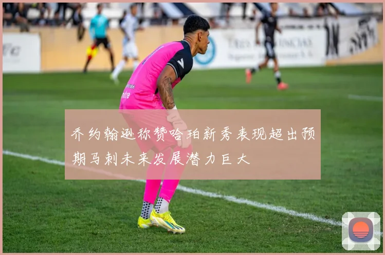 乔约翰逊称赞哈珀新秀表现超出预期马刺未来发展潜力巨大